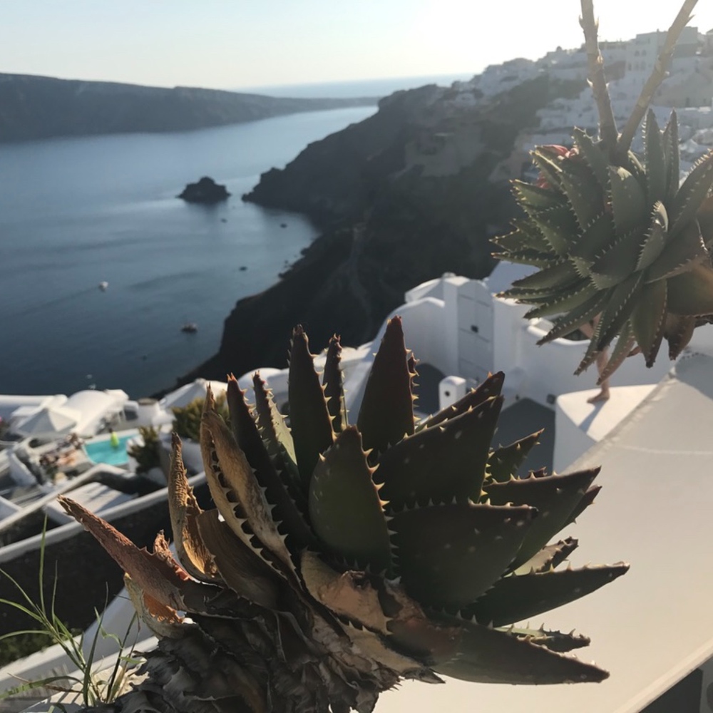 Meet your Posher, ZRA